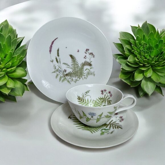 Vintage H&C Bavaria Germany Heinrich Teacup Saucer & Dessert Plate FERNS - Picture 1 of 8